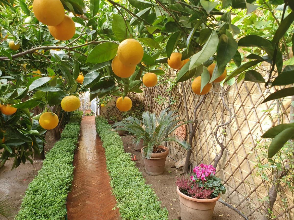 Villa Goethe อากริเจนโต ภายนอก รูปภาพ